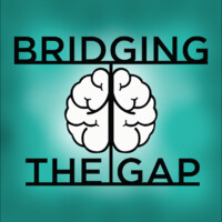 Bridging The Gap Laurier Logo