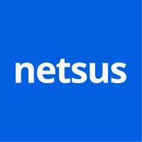 Netsus TI Logo