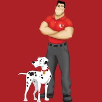 BioResponse Restoration Logo