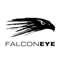 Falcon Eye Logo