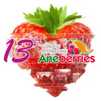 Aneberries Logo