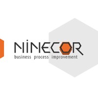 Ninecor Company Logo