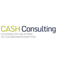 CASH Consulting Logo