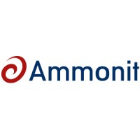 Ammonit Measurement GmbH Logo