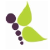 KiMedia Strategies Logo