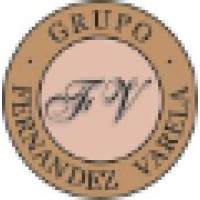 Grupo FV Logo
