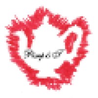 Pimp&T Logo