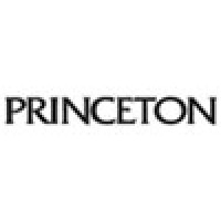 Princeton Publishing Logo