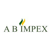 A B Impex Logo