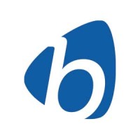 Business Systems International Logo