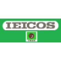 IEICOS - M/s Industrial Engineering Instruments Logo