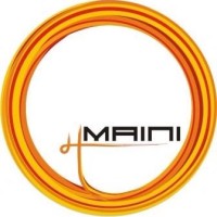 Maini Precision Products Limited Logo