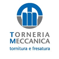 Torneria Meccanica srl Logo