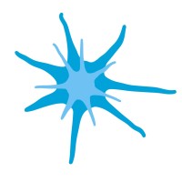 Epilepsy Scotland Logo