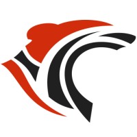 Roar Solutions Inc. Logo