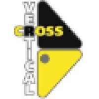Vertical Cross Logo