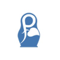 Rinsys - Russian Information Systems Logo