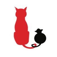 Cat n Mouse Logo