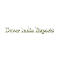 Dover India Exports Logo