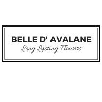 AVALANE Logo