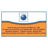 SQUAREPOINT-POINTCARRE Logo