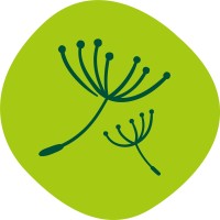 Dandelion Time Logo