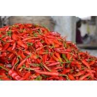 Marketthings.nl Logo