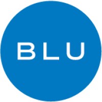 BLUSOURCE Logo