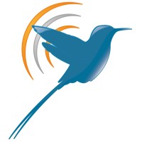 moltosenso Logo