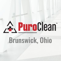 PuroClean Professional Services Logo