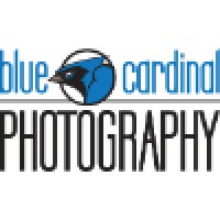 Blue Cardinal Photography Logo