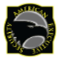 American Executive Security Logo