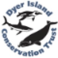 Dyer Island Conservation Trust Logo