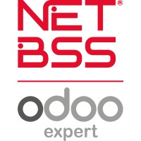 netBSS Soluciones Informáticas SL Logo