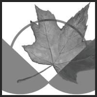 Canadian Centre for Policy Alternatives Logo
