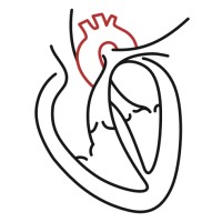 QHeart Medical Logo