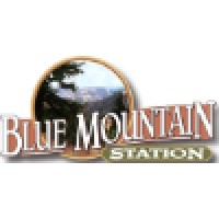 Blue Mountain Station Logo
