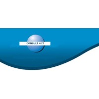 Consult 4 IT, LLC Logo