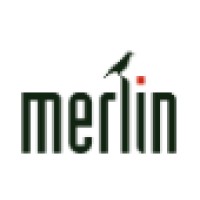 Merlin Logo