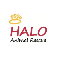 HALO Animal Rescue Logo