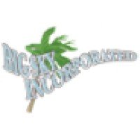 Big Sky Incorporated Logo