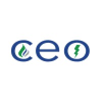 Consumer Energy Options, Inc Logo