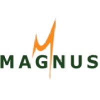 Magnus IT Solutions Pvt. Ltd. Logo