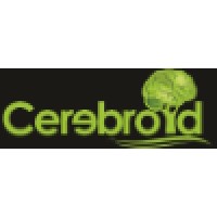 Cerebroid Logo