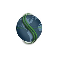 Slic Network Solutions Logo