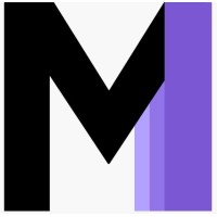 Mills Information Systems, LLC Logo