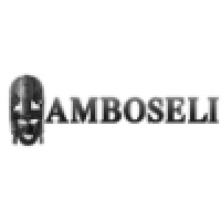 AmboseliHR Logo