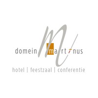 DOMEIN MARTINUS Logo