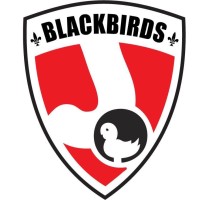 Hockey Club Blackbirds Zandhoven Logo