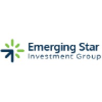Emerging Star Investment Group (ESIG) Logo